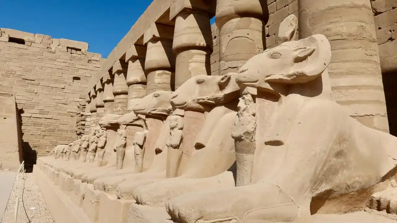 Interpol's 'Operation Ramz' Pioneers Cross-Region Collabs in Middle East 7 rams at luxor in Egypt Yuliia24 shutterstock Jyv7iv