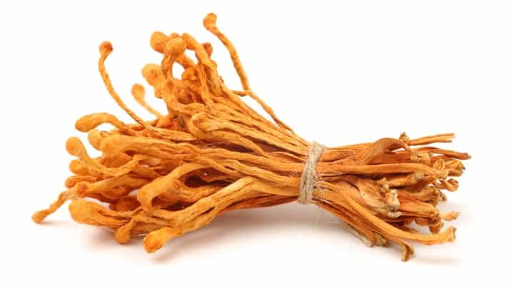 'Cordyceps': Mushrooming Malicious Pull Requests Threaten Developer Workflows 2 cordyceps chengyuzheng getty 1381017332 JI3GrU
