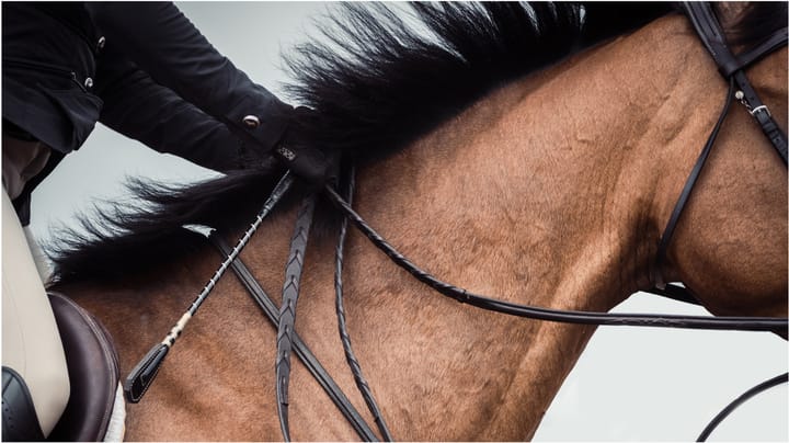 AI Harnesses Burst With Potential Exploit Opps 2 horse Mark Spowart GettyImages 1475114414 r5monz
