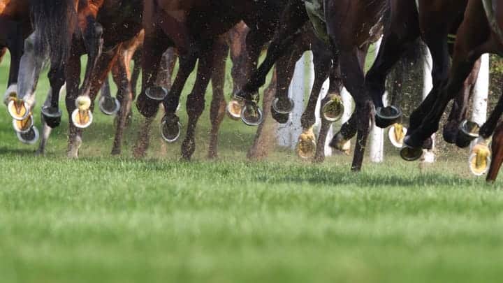ShinyHunters Hacked Cl0p. Now What About Cl0p's Victims? 2 horses running winhorse GettyImages 157523740 ol0olJ