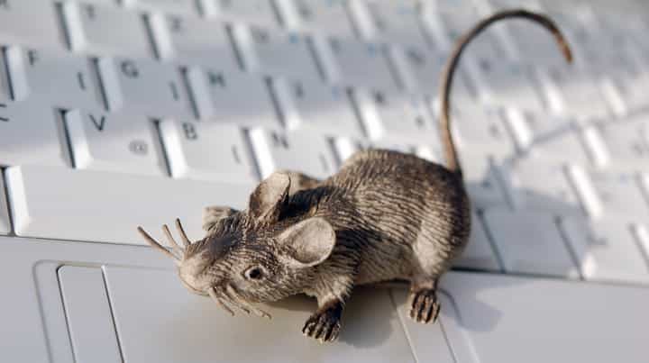 SectopRAT Returns, Hiding Inside a Legitimate Application 2 rat maljalen Getty 186306387
