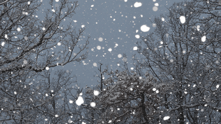 Russia's Star Blizzard Ditches ClickFix to Widen Phishing Net 4 snowflakes Ulrick T Alamy Bbyh4O
